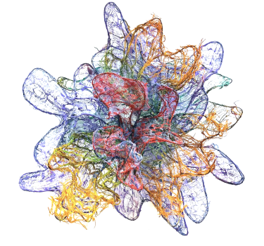 The Fine Lines Between